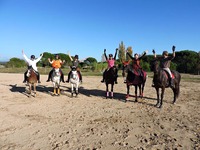 Bienvenue aux  écuries de la plaine