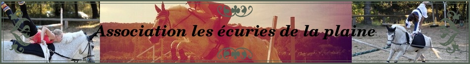 Association les écuries de la plaine